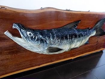 Amazon.co.jp: 一光作鮭彫刻壁掛け天然木彫り伝統工芸品サケさけ魚